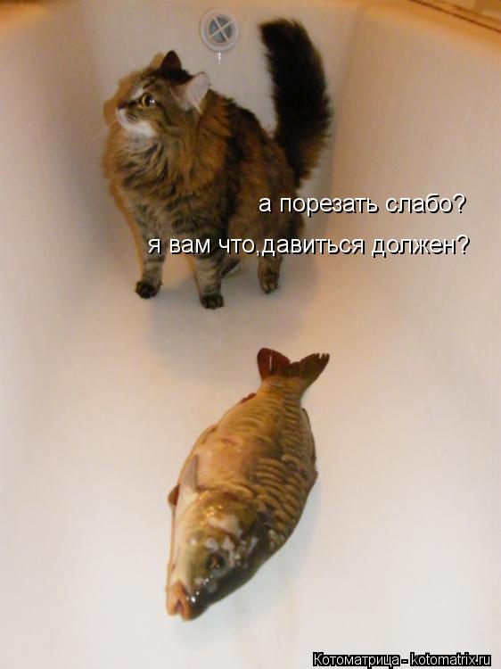 Котоматрица: а порезать слабо? я вам что,давиться должен?