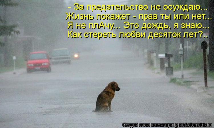 - За предательство не осуждаю... Жизнь покажет - прав ты или нет... Я не плАчу... Это дождь, я знаю..... Котоматрица: - За предательство не осуждаю... Жизнь покажет - прав ты или нет... Я не плАчу... Это дождь, я знаю... Как стереть любви десяток лет?..