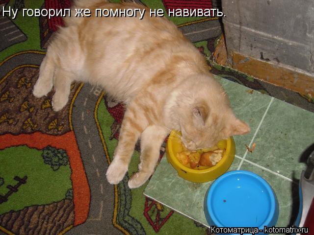 Ну говорил же помногу не навивать.... Котоматрица: Ну говорил же помногу не навивать.