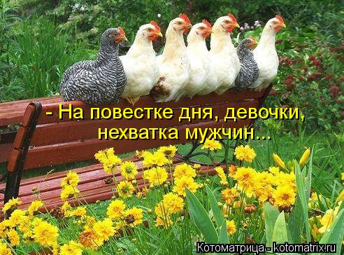 - На повестке дня, девочки, нехватка мужчин...... Котоматрица: - На повестке дня, девочки, нехватка мужчин...