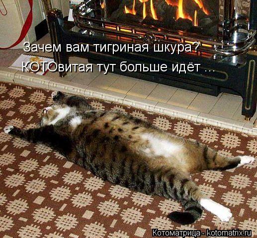 Зачем вам тигриная шкура? КОТОвитая тут больше идёт ...... Котоматрица: Зачем вам тигриная шкура? КОТОвитая тут больше идёт ...