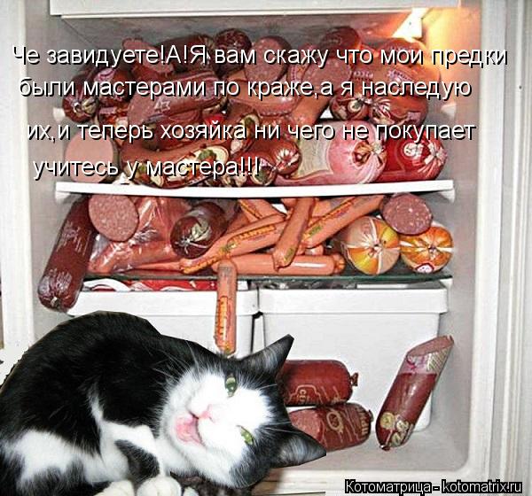 Че завидуете!А!Я вам скажу что мои предки были мастерами по краже,а я наследую их,и теперь хозяйка ни... Котоматрица: Че завидуете!А!Я вам скажу что мои предки были мастерами по краже,а я наследую их,и теперь хозяйка ни чего не покупает учитесь у мастера!!!