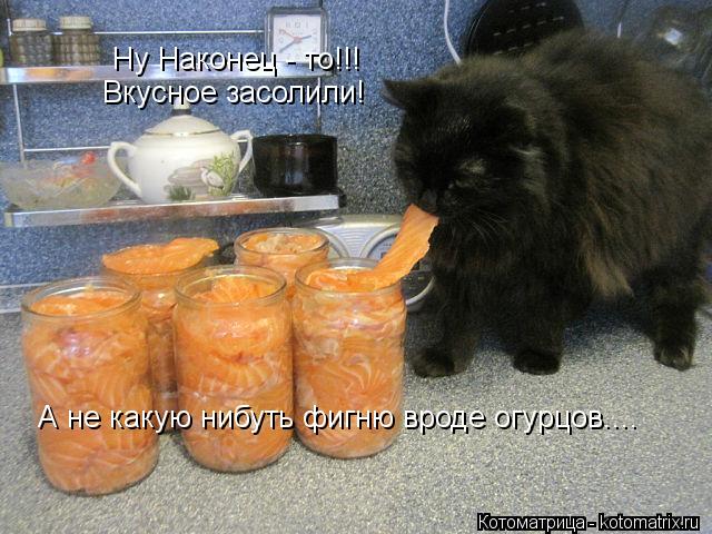 Ну Наконец - то!!! Вкусное засолили! А не какую нибуть фигню вроде огурцов....... Котоматрица: Ну Наконец - то!!! Вкусное засолили! А не какую нибуть фигню вроде огурцов....