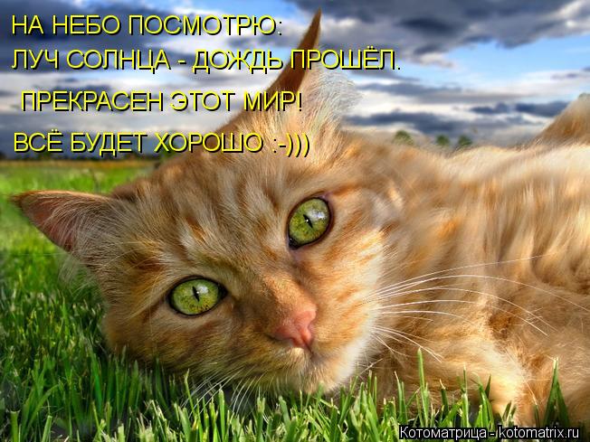 НА НЕБО ПОСМОТРЮ: ЛУЧ СОЛНЦА - ДОЖДЬ ПРОШЁЛ. ПРЕКРАСЕН ЭТОТ МИР! ВСЁ БУДЕТ ХОРОШО :-)))... Котоматрица: НА НЕБО ПОСМОТРЮ: ЛУЧ СОЛНЦА - ДОЖДЬ ПРОШЁЛ. ПРЕКРАСЕН ЭТОТ МИР! ВСЁ БУДЕТ ХОРОШО :-)))