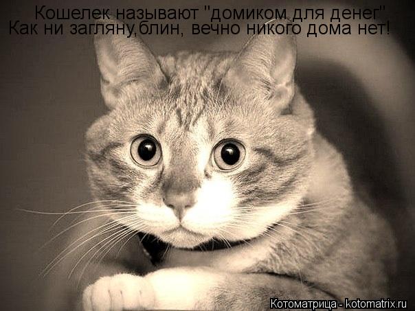 Кошелек называют "домиком для денег" Как ни загляну,блин, вечно никого дома нет!... Котоматрица: Кошелек называют "домиком для денег" Как ни загляну,блин, вечно никого дома нет!