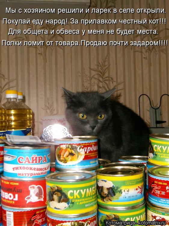 Мы с хозяином решили и ларек в селе открыли. Покупай еду народ! За прилавком честный кот!!! Для общет... Котоматрица: Мы с хозяином решили и ларек в селе открыли. Покупай еду народ! За прилавком честный кот!!! Для общета и обвеса у меня не будет места. Полки ло