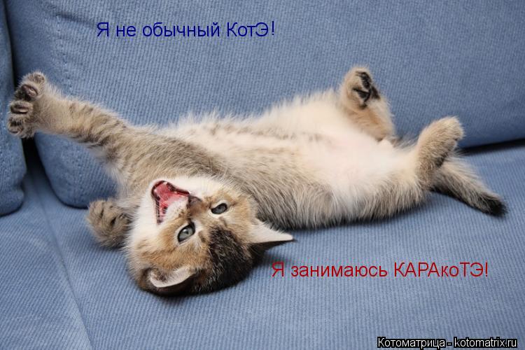Котоматрица: Я не обычный КотЭ ! Я занимаюсь КАРАкоТЭ!