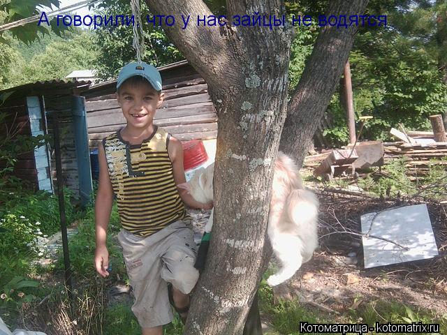 А говорили, что у нас зайцы не водятся... Котоматрица: А говорили, что у нас зайцы не водятся