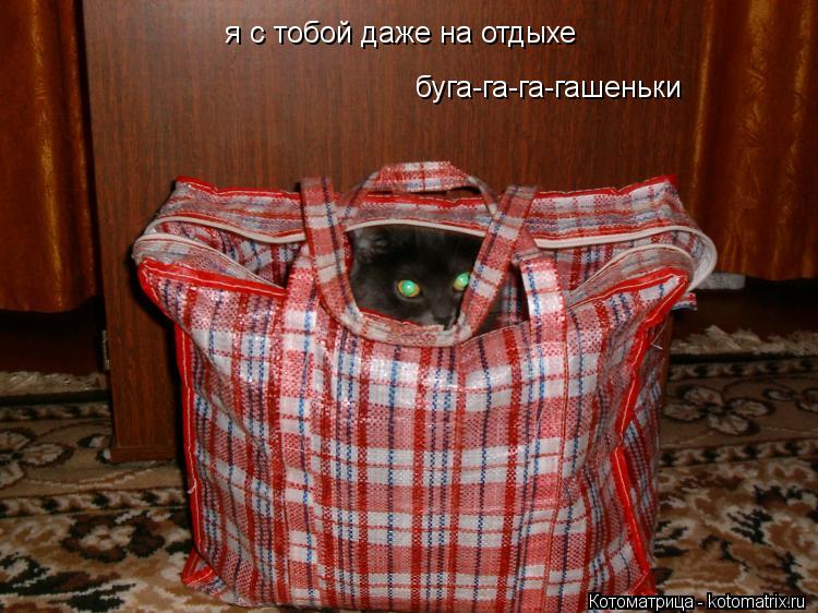 я с тобой даже на отдыхе буга-га-га-гашеньки... Котоматрица: я с тобой даже на отдыхе буга-га-га-гашеньки