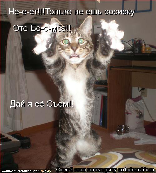 Не-е-ет!!!Только не ешь сосиску Это Бо-о-мба!! Дай я её Съем!!... Котоматрица: Не-е-ет!!!Только не ешь сосиску Это Бо-о-мба!! Дай я её Съем!!