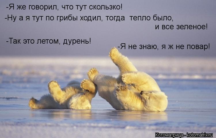 -Я же говорил, что тут скользко! -Ну а я тут по грибы ходил, тогда тепло было, и все зеленое! -Так э... Котоматрица: -Я же говорил, что тут скользко! -Ну а я тут по грибы ходил, тогда тепло было, и все зеленое! -Так это летом, дурень! -Я не знаю, я ж не повар!