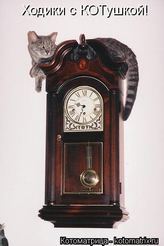 Котоматрица: Ходики с КОТушкой!