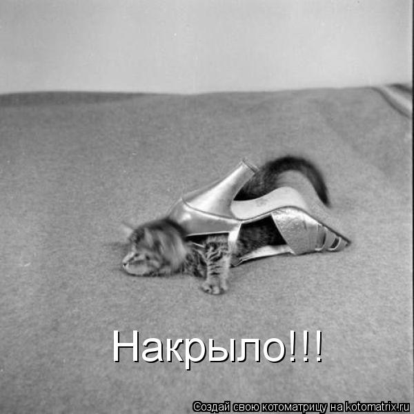 Накрыло!!!... Котоматрица: Накрыло!!!