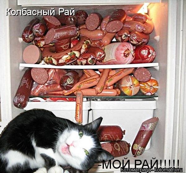Колбасный Рай -МОЙ РАЙ!!!!!... Котоматрица: Колбасный Рай -МОЙ РАЙ!!!!!