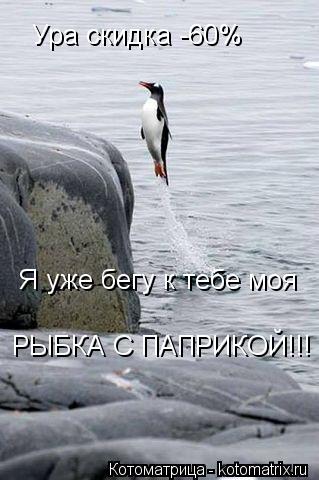 Ура скидка -60% Я уже бегу к тебе моя РЫБКА С ПАПРИКОЙ!!!... Котоматрица: Ура скидка -60% Я уже бегу к тебе моя РЫБКА С ПАПРИКОЙ!!!