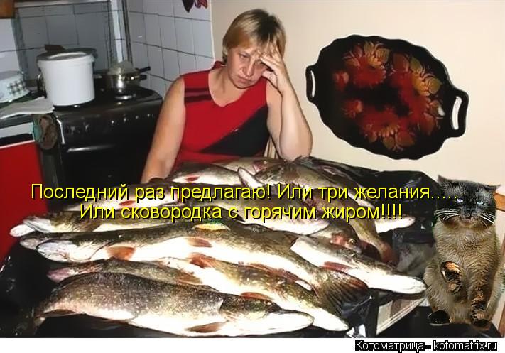 Последний раз предлагаю! Или три желания..... Или сковородка с горячим жиром!!!!... Котоматрица: Последний раз предлагаю! Или три желания..... Или сковородка с горячим жиром!!!!