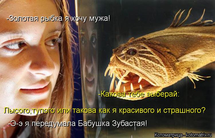 -Золотая рыбка я хочу мужа! -Какова тебе выберай: Лысого,тупого или такова как я красивого и страшног... Котоматрица: -Золотая рыбка я хочу мужа! -Какова тебе выберай: Лысого,тупого или такова как я красивого и страшного? -Э-э я передумала Бабушка Зубастая!