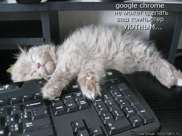 Котоматрица: google chrome не может сделать ваш компьютер УЮТНЫМ...