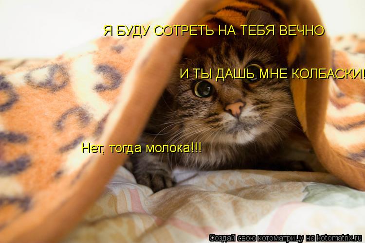 Котоматрица: Я БУДУ СОТРЕТЬ НА ТЕБЯ ВЕЧНО И ТЫ ДАШЬ МНЕ КОЛБАСКИ! Нет, тогда молока!!!