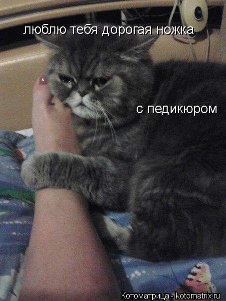 люблю тебя дорогая ножка с педикюром... Котоматрица: люблю тебя дорогая ножка с педикюром