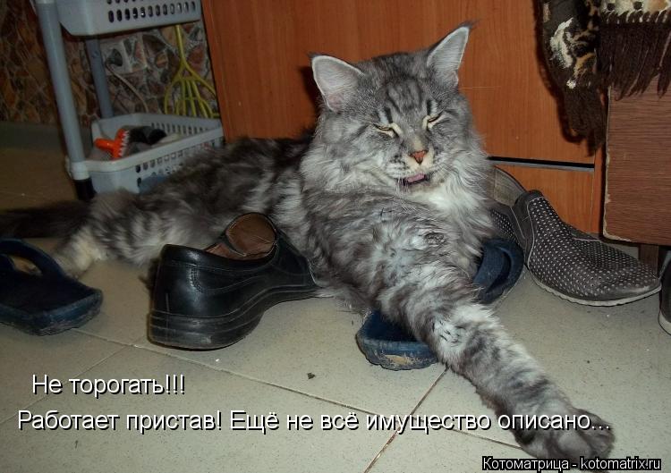 Не торогать!!! Работает пристав! Ещё не всё имущество описано...... Котоматрица: Не торогать!!! Работает пристав! Ещё не всё имущество описано...