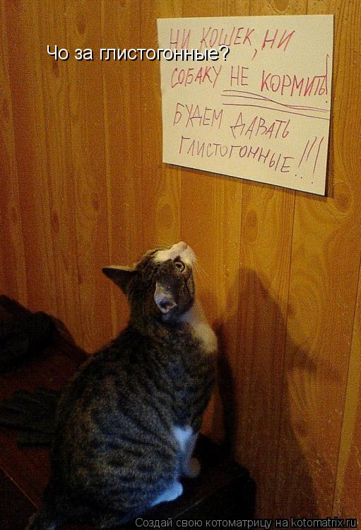 Чо за глистогонные?... Котоматрица: Чо за глистогонные?