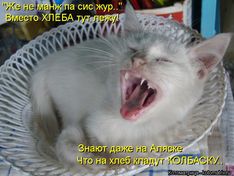 "Же не манж па сис жур.." Вместо ХЛЕБА тут лежу! Что на хлеб кладут КОЛБАСКУ.. Знают даже на Аляске... Котоматрица: "Же не манж па сис жур.." Вместо ХЛЕБА тут лежу! Что на хлеб кладут КОЛБАСКУ.. Знают даже на Аляске