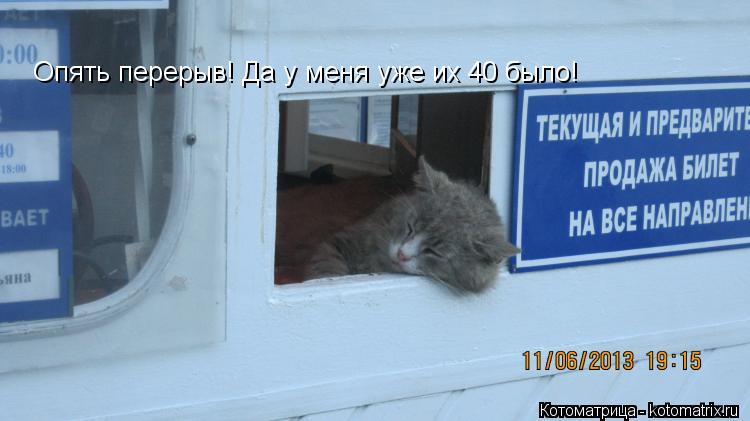 Опять перерыв! Да у меня уже их 40 было!... Котоматрица: Опять перерыв! Да у меня уже их 40 было!