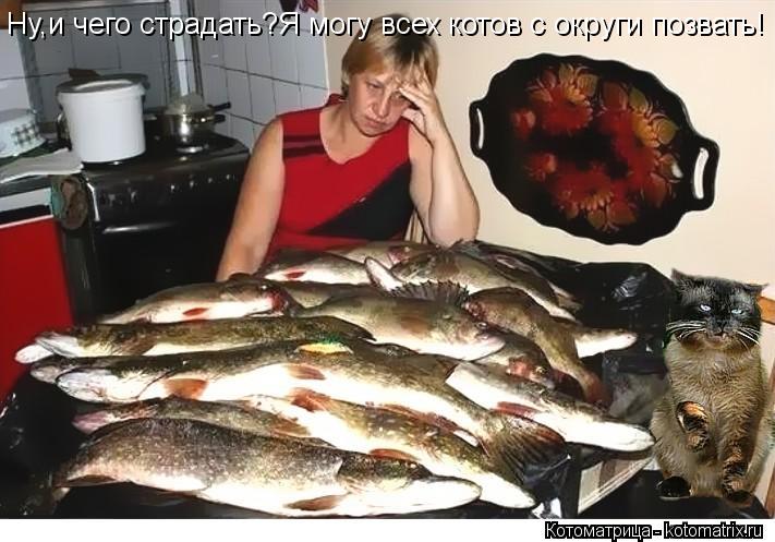Котоматрица: Ну,и чего страдать?Я могу всех котов с округи позвать!