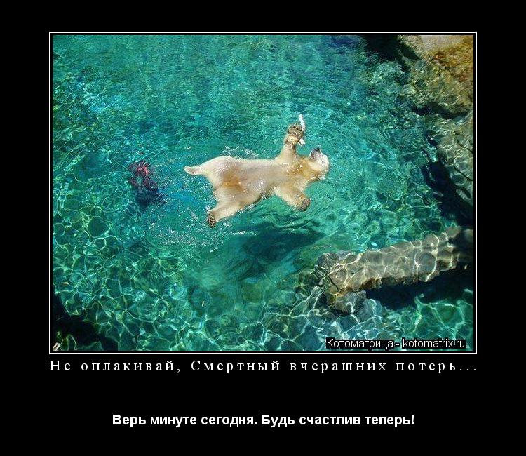 Не оплакивай, Смертный вчерашних потерь... Верь минуте сегодня. Будь счастлив теперь!... Котоматрица: Не оплакивай, Смертный вчерашних потерь... Верь минуте сегодня. Будь счастлив теперь!