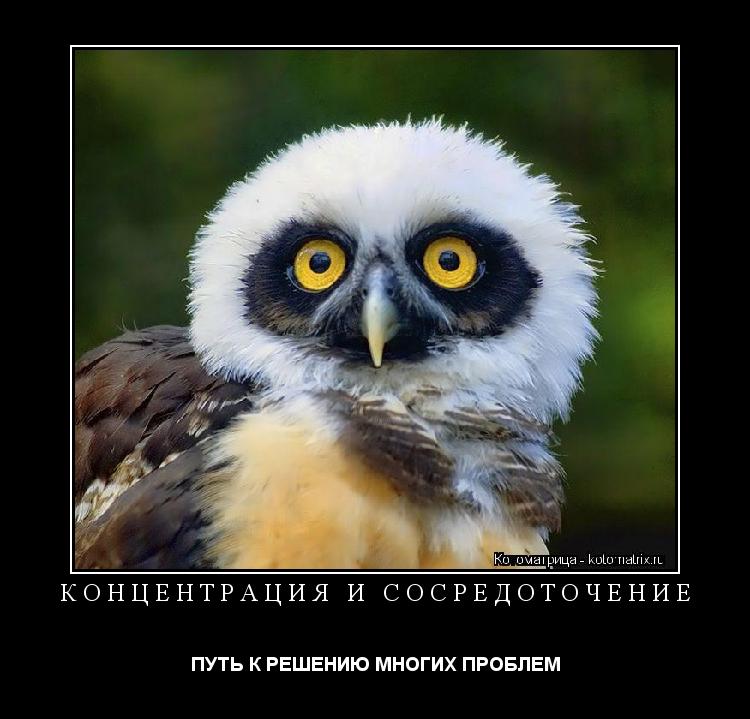 КОНЦЕНТРАЦИЯ И СОСРЕДОТОЧЕНИЕ ПУТЬ К РЕШЕНИЮ МНОГИХ ПРОБЛЕМ... Котоматрица: КОНЦЕНТРАЦИЯ И СОСРЕДОТОЧЕНИЕ ПУТЬ К РЕШЕНИЮ МНОГИХ ПРОБЛЕМ