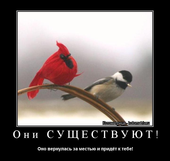 Они СУЩЕСТВУЮТ! Оно вернулась за местью и придёт к тебе!... Котоматрица: Они СУЩЕСТВУЮТ! Оно вернулась за местью и придёт к тебе!