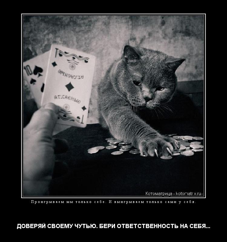 Проигрываем мы только себе. И выигрываем только сами у себя. ДОВЕРЯЙ СВОЕМУ ЧУТЬЮ. БЕРИ ОТВЕТСТВЕННОС... Котоматрица: Проигрываем мы только себе. И выигрываем только сами у себя. ДОВЕРЯЙ СВОЕМУ ЧУТЬЮ. БЕРИ ОТВЕТСТВЕННОСТЬ НА СЕБЯ...