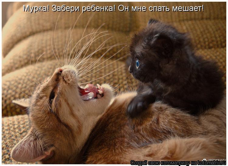 Мурка! Забери ребенка! Он мне спать мешает!... Котоматрица: Мурка! Забери ребенка! Он мне спать мешает!