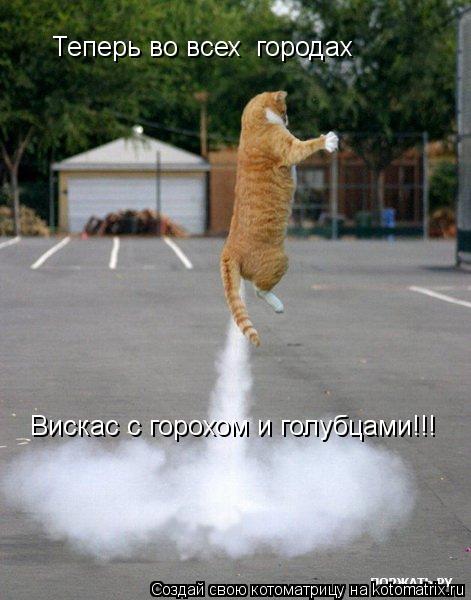 Теперь во всех городах Вискас с горохом и голубцами!!!... Котоматрица: Теперь во всех городах Вискас с горохом и голубцами!!!