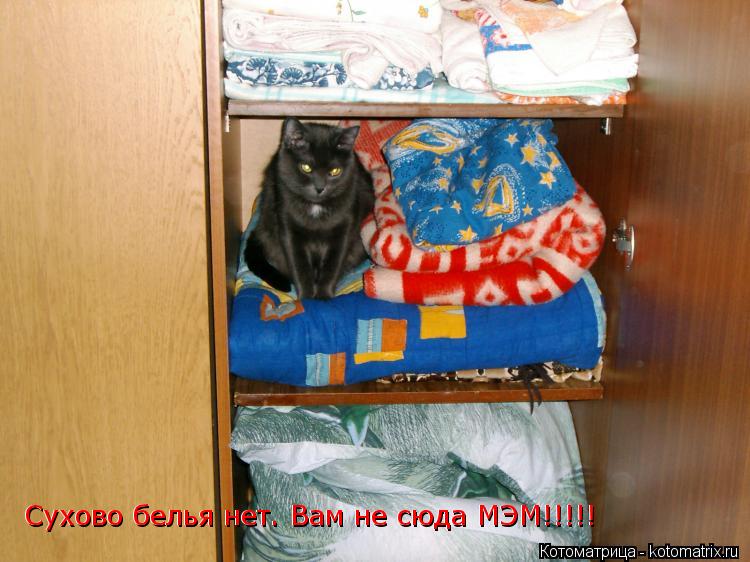 Сухово белья нет. Вам не сюда МЭМ!!!!! Сухово белья нет. Вам не сюда МЭМ!!!!!... Котоматрица: Сухово белья нет. Вам не сюда МЭМ!!!!! Сухово белья нет. Вам не сюда МЭМ!!!!!