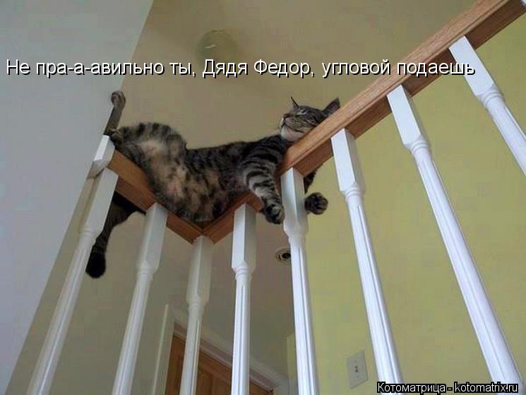 Не пра-а-авильно ты, Дядя Федор, угловой подаешь... Котоматрица: Не пра-а-авильно ты, Дядя Федор, угловой подаешь