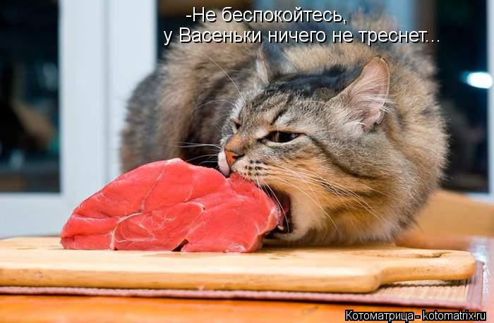 -Не беспокойтесь, у Васеньки ничего не треснет...... Котоматрица: -Не беспокойтесь, у Васеньки ничего не треснет...