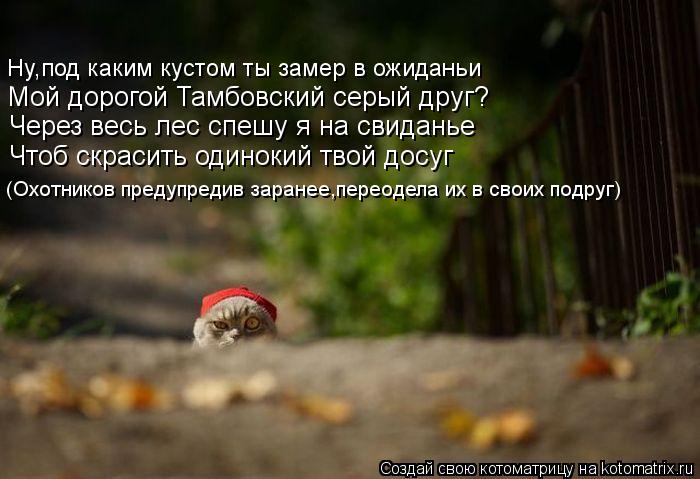 Ну,под каким кустом ты замер в ожиданьи Мой дорогой Тамбовский серый друг? Через весь лес спешу я на... Котоматрица: Ну,под каким кустом ты замер в ожиданьи Мой дорогой Тамбовский серый друг? Через весь лес спешу я на свиданье Чтоб скрасить одинокий твой д
