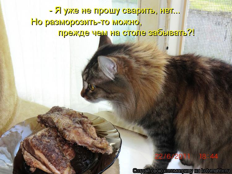 - Я уже не прошу сварить, нет... Но разморозить-то можно, прежде чем на столе забывать?!... Котоматрица: - Я уже не прошу сварить, нет... Но разморозить-то можно, прежде чем на столе забывать?!