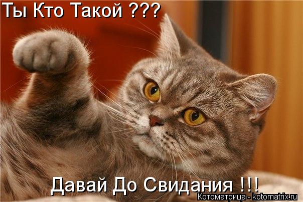 Ты Кто Такой ??? Давай До Свидания !!! Давай До Свидания !!!... Котоматрица: Ты Кто Такой ??? Давай До Свидания !!! Давай До Свидания !!!