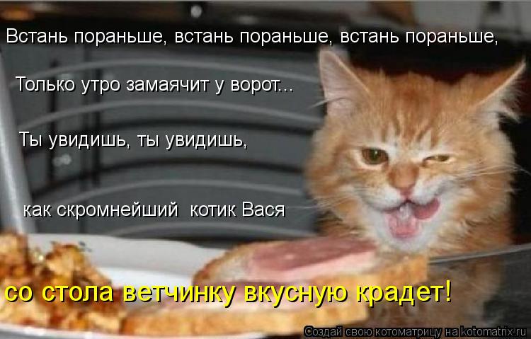Встань пораньше, встань пораньше, встань пораньше, Только утро замаячит у ворот... Ты увидишь, ты уви... Котоматрица: Встань пораньше, встань пораньше, встань пораньше, Только утро замаячит у ворот... Ты увидишь, ты увидишь, как скромнейший котик Вася со сто