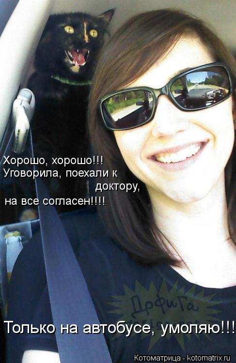 Хорошо, хорошо!!! Уговорила, поехали к доктору, на все согласен!!!! Только на автобусе, умоляю!!!... Котоматрица: Хорошо, хорошо!!! Уговорила, поехали к доктору, на все согласен!!!! Только на автобусе, умоляю!!!