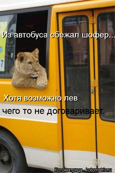 Из автобуса сбежал шофер... Хотя возможно лев чего то не договаривает.... Котоматрица: Из автобуса сбежал шофер... Хотя возможно лев чего то не договаривает.
