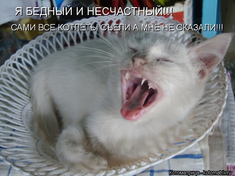 Я БЕДНЫЙ И НЕСЧАСТНЫЙ!!! САМИ ВСЕ КОТЛЕТЫ СЪЕЛИ А МНЕ НЕ СКАЗАЛИ!!!... Котоматрица: Я БЕДНЫЙ И НЕСЧАСТНЫЙ!!! САМИ ВСЕ КОТЛЕТЫ СЪЕЛИ А МНЕ НЕ СКАЗАЛИ!!!
