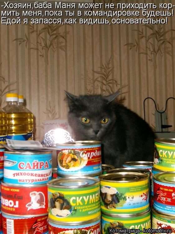 -Хозяин,баба Маня может не приходить кор- мить меня,пока ты в командировке будешь! Едой я запасся,как... Котоматрица: -Хозяин,баба Маня может не приходить кор- мить меня,пока ты в командировке будешь! Едой я запасся,как видишь,основательно!