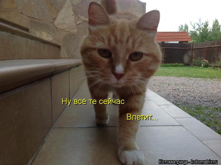 Ну всё те сейчас Влетит...... Котоматрица: Ну всё те сейчас Влетит...