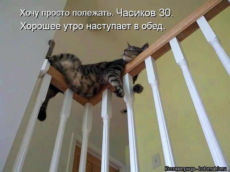 Хочу просто полежать. Часиков 30. Хорошее утро наступает в обед.... Котоматрица: Хочу просто полежать. Часиков 30. Хорошее утро наступает в обед.