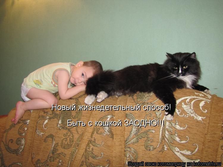 Новый жизнедетельный способ! Быть с кошкой ЗАОДНО!!!... Котоматрица: Новый жизнедетельный способ! Быть с кошкой ЗАОДНО!!!