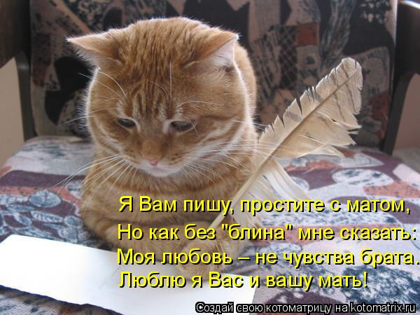 Люблю я Вас и вашу мать! Моя любовь – не чувства брата. Но как без "блина" мне сказать: Я Вам пишу, п... Котоматрица: Люблю я Вас и вашу мать! Моя любовь – не чувства брата. Но как без "блина" мне сказать: Я Вам пишу, простите с матом,